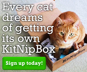 KitNip Box